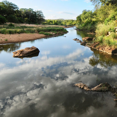 Selati Game Reserve Selati Game Reserve
